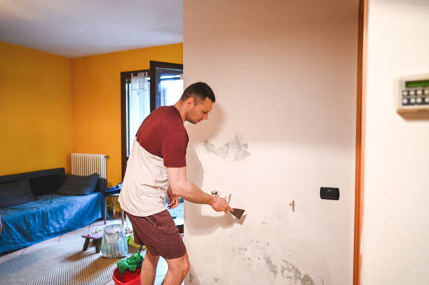 Best Commercial Mold Removal  in Red Bud, IL
